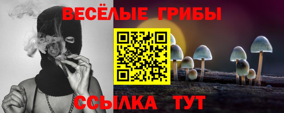 Гатчина  Галлюциногенные грибы Psilocybine cubensis  Вход с VPN  Псилоцибиновые грибы мицелий 